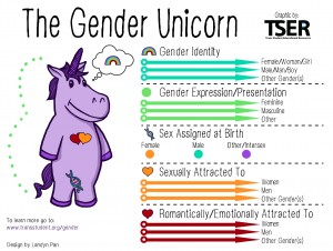 Gender Unicorn Infographic
